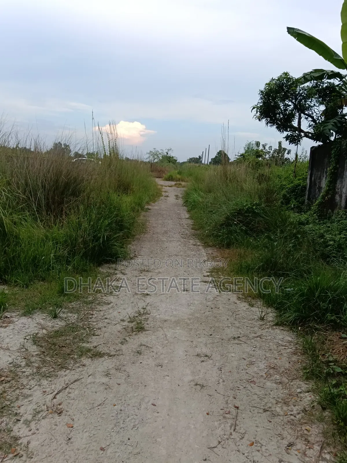 Rajuk Purbachal 10 Katha Sector-17