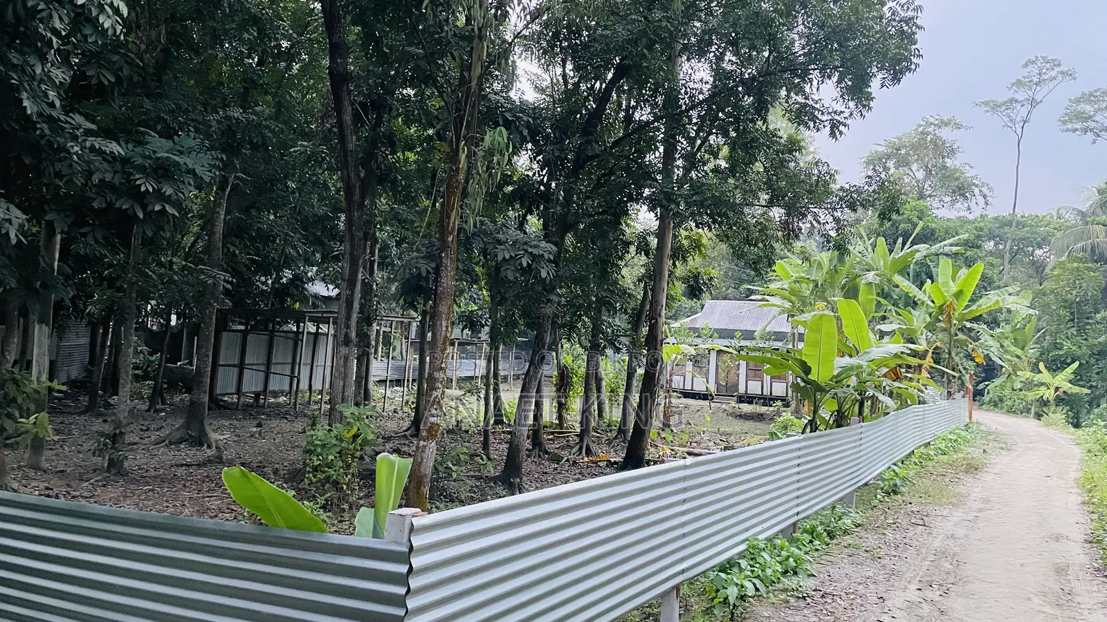 এই জমিটা বিক্রি হবে