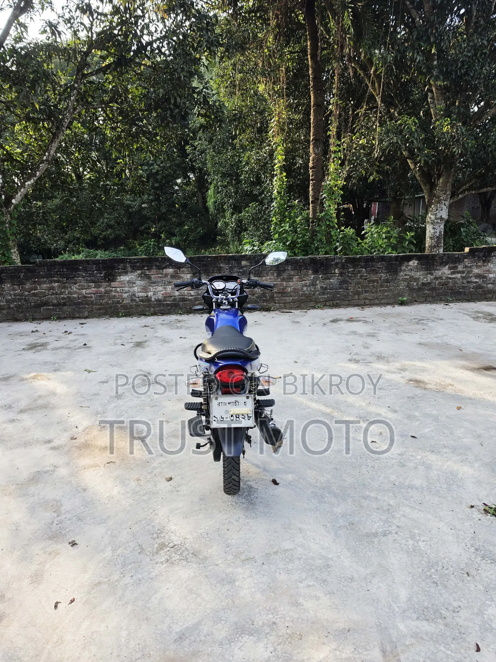 Bajaj Platina 100 2020 Blue
