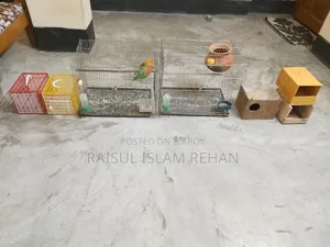 ১২/১৮ খাঁচা ২ পিস