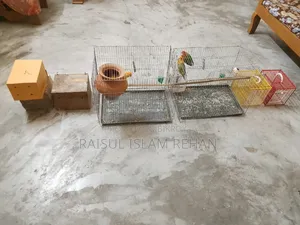 ১২/১৮ খাঁচা ২ পিস