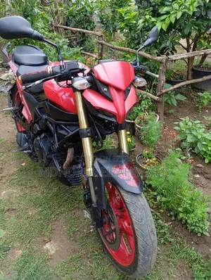 রানার বোল্ট ১৬৫আর ২০২৩ লাল