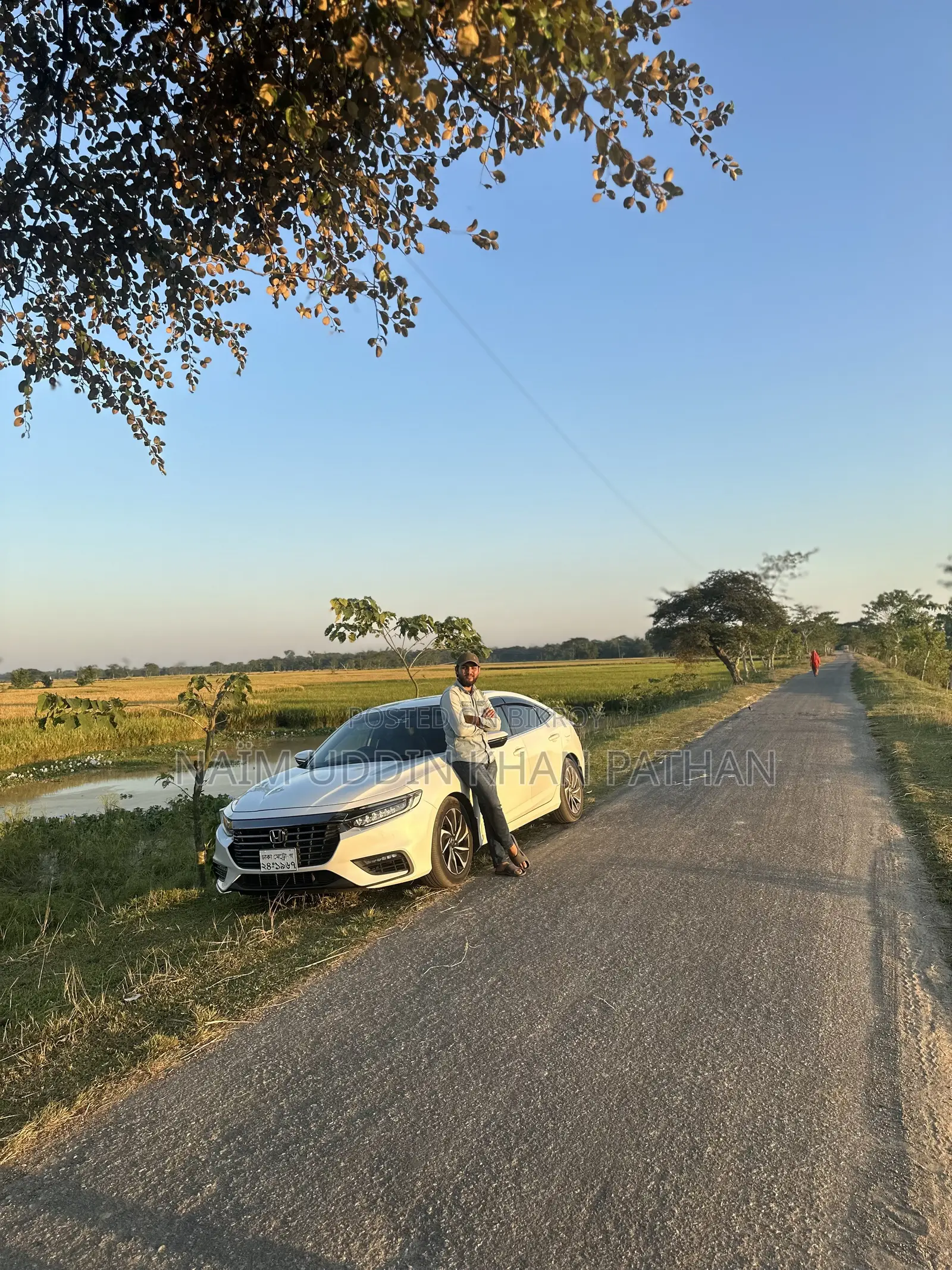 Honda Insight 2020 Pearl