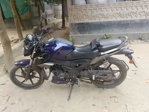 টিভিএস রাইডার ১২৫ ২০২২ পার্পল