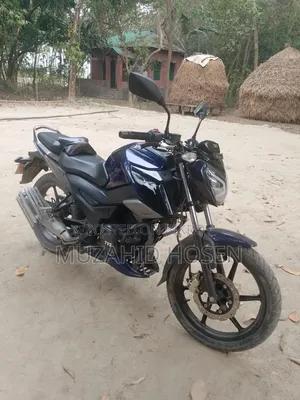 টিভিএস রাইডার ১২৫ ২০২২ পার্পল