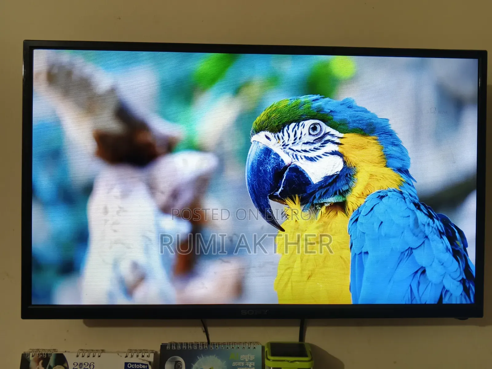Do you need a TV?