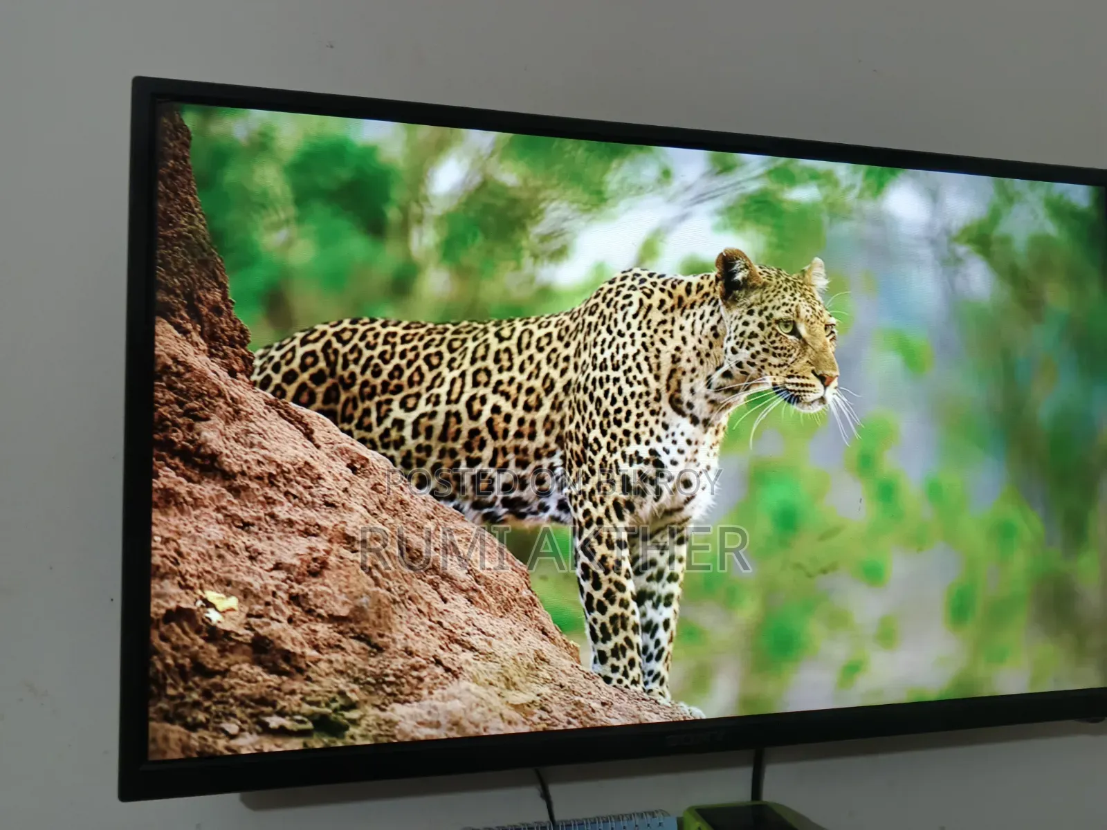 Do you need a TV?