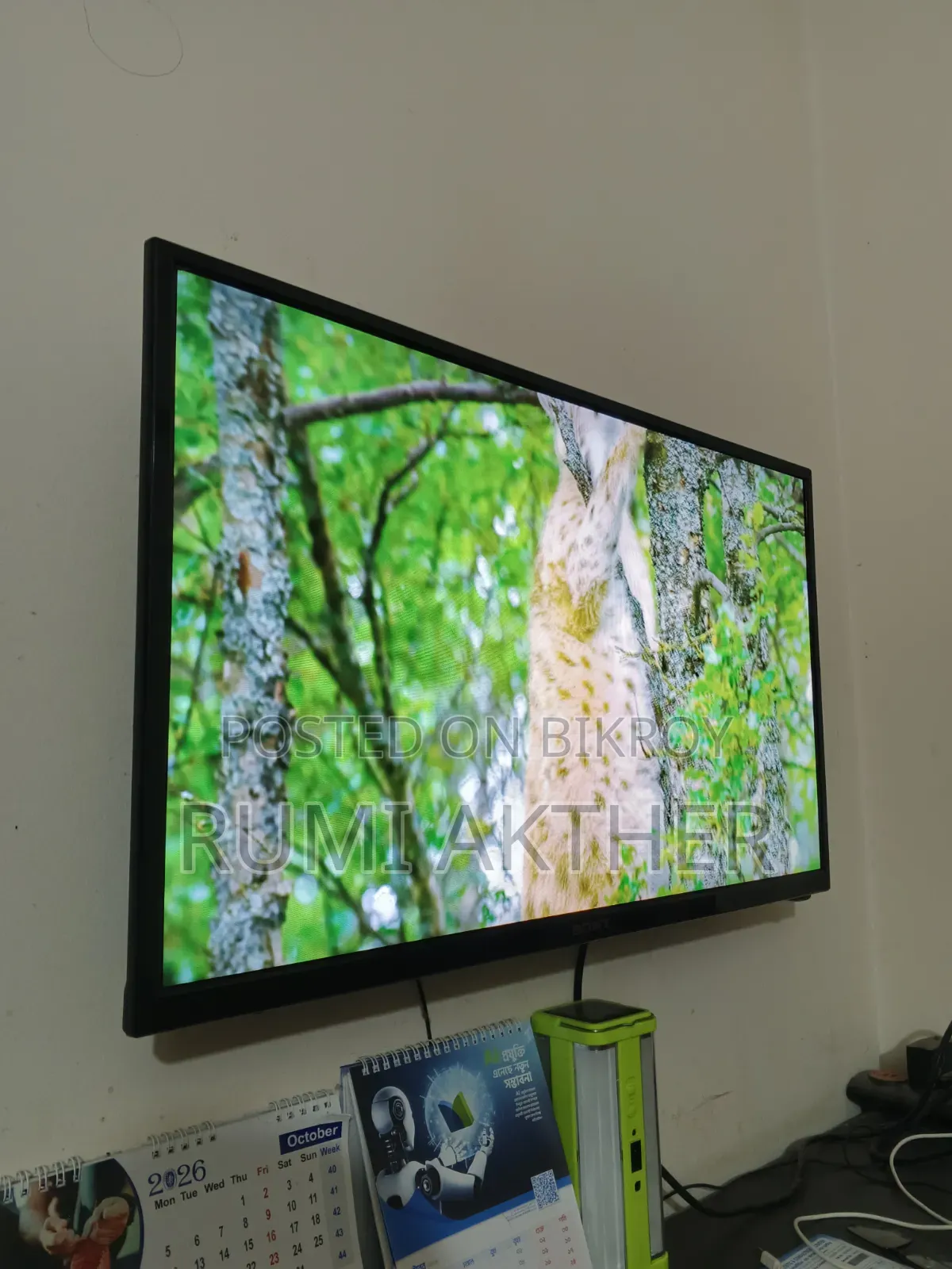 Do you need a TV?
