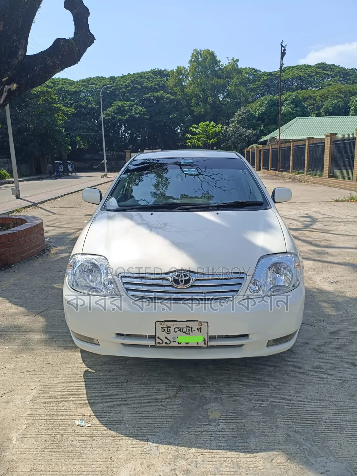 Toyota Corolla 2003 White