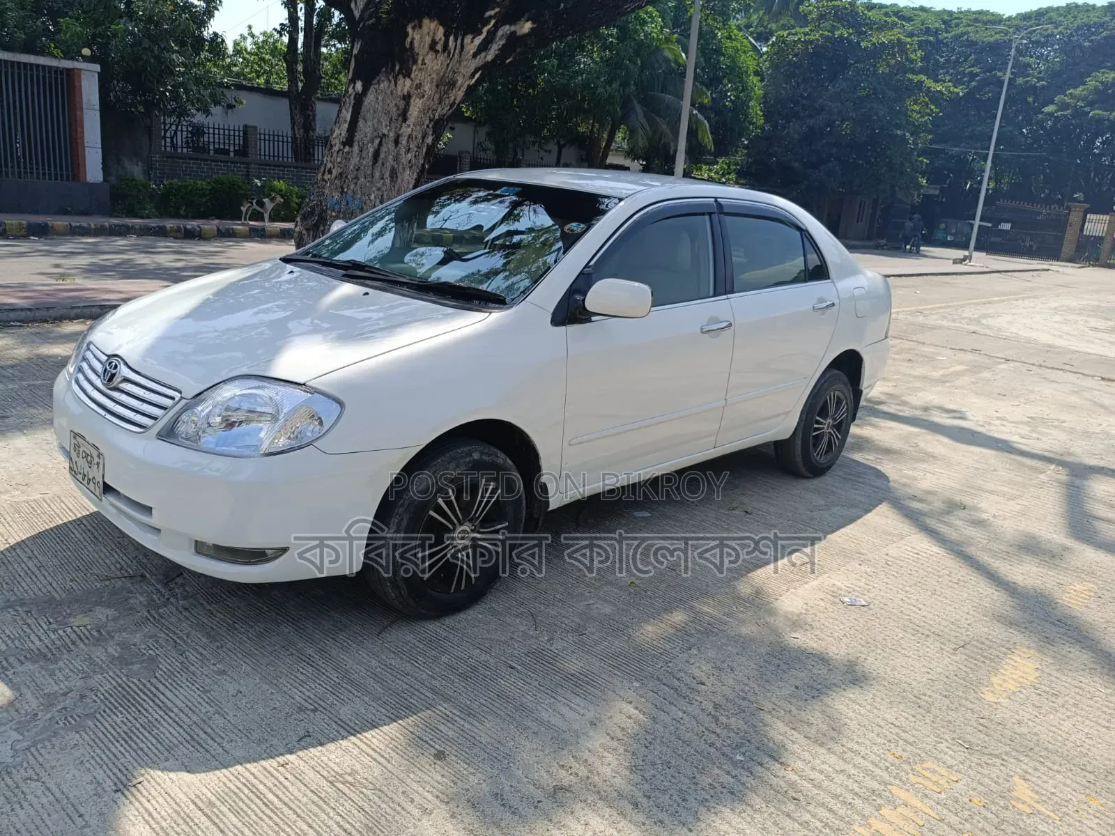 Toyota Corolla 2003 White