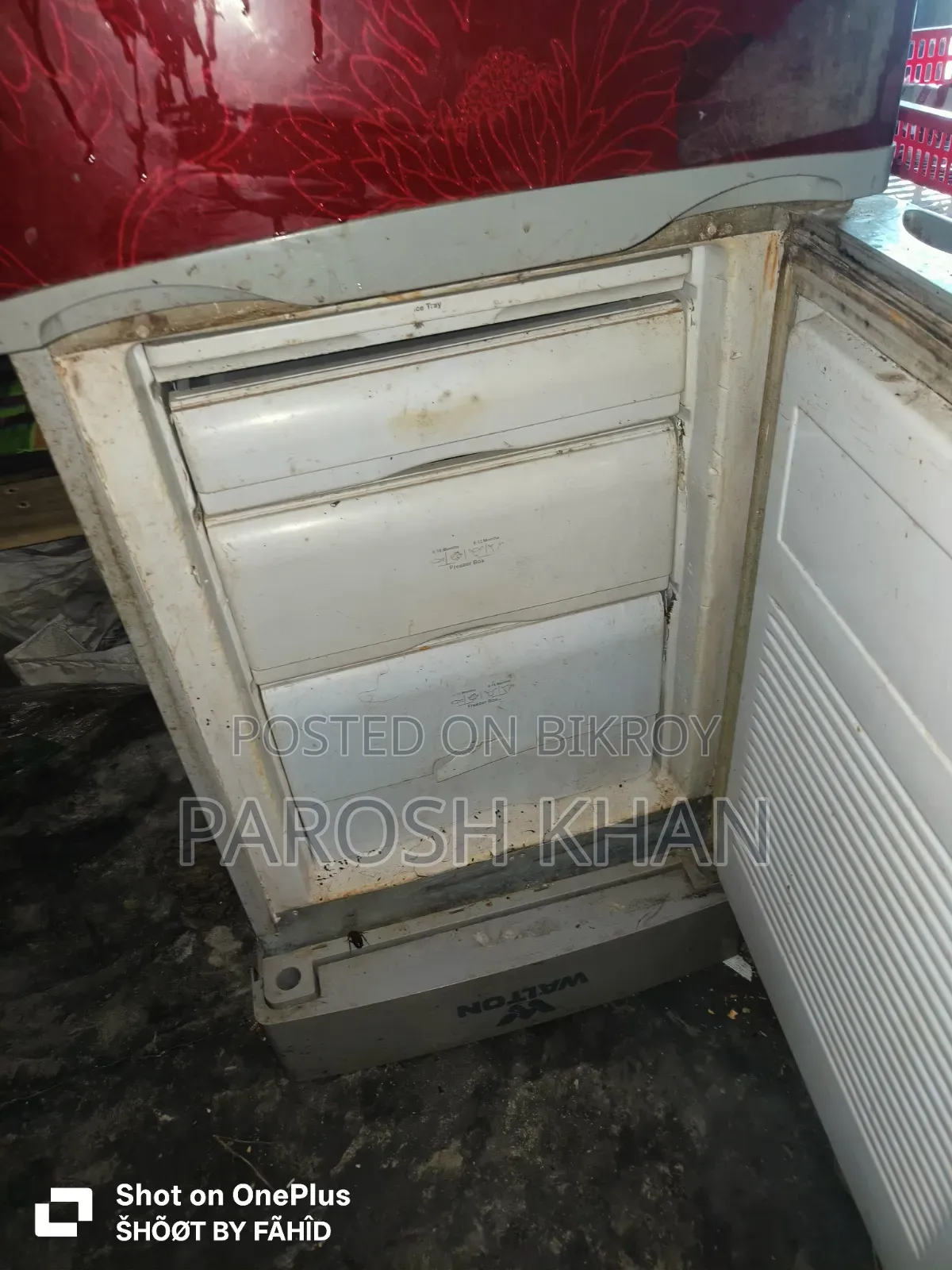 Running Walton Freze