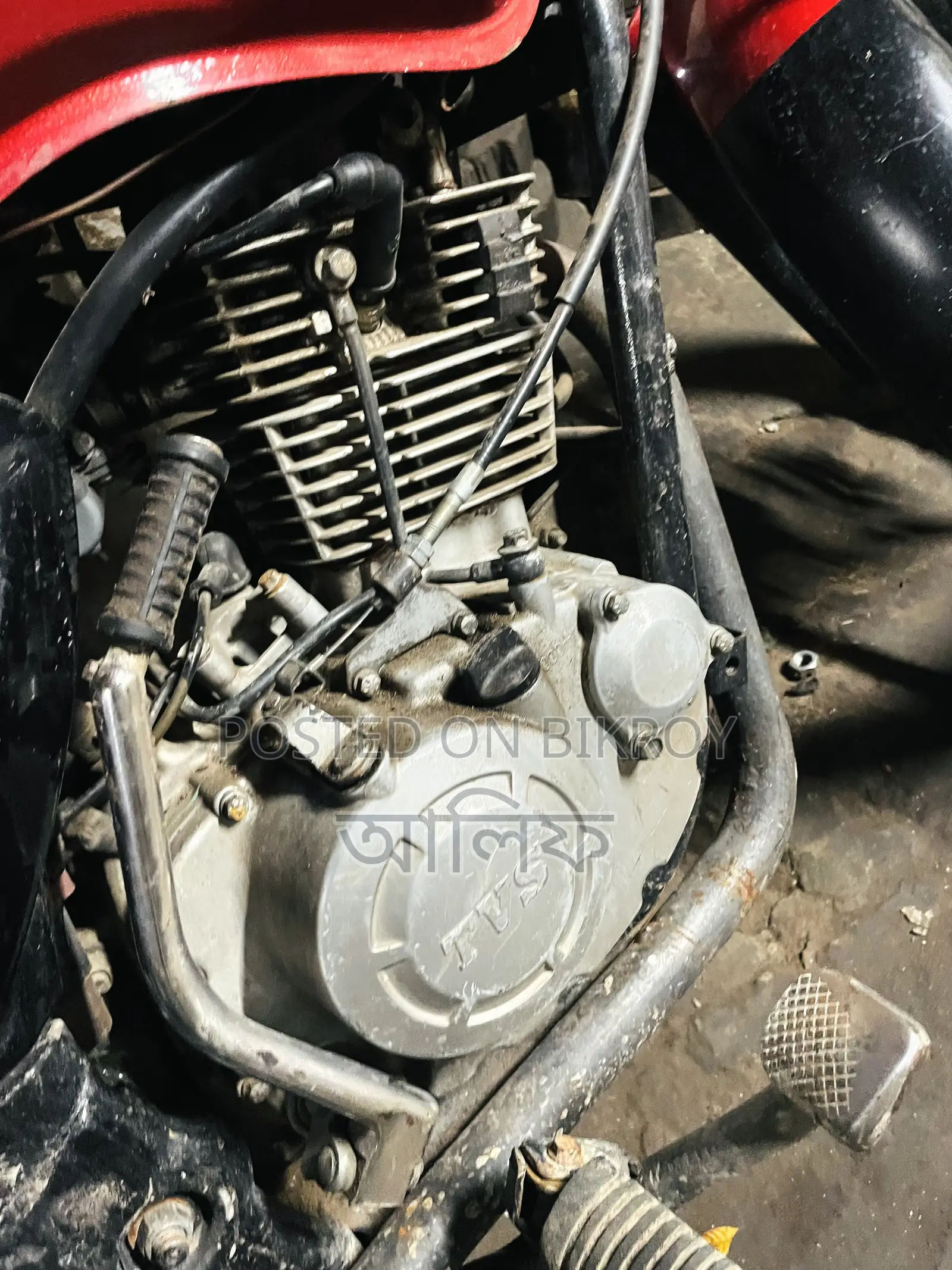 TVS 2008 Red