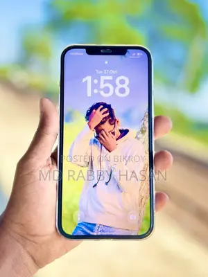 অ্যাপল আইফোন ১২ প্রো ম্যাক্স ১২৮ জিবি নীল