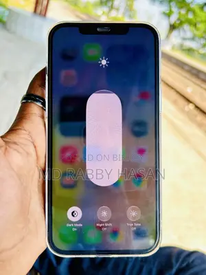 অ্যাপল আইফোন ১২ প্রো ম্যাক্স ১২৮ জিবি নীল
