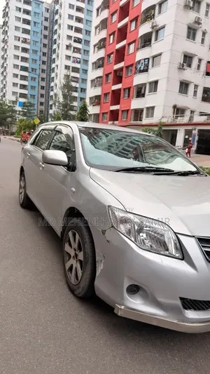 Toyota Axio 2011 Silver