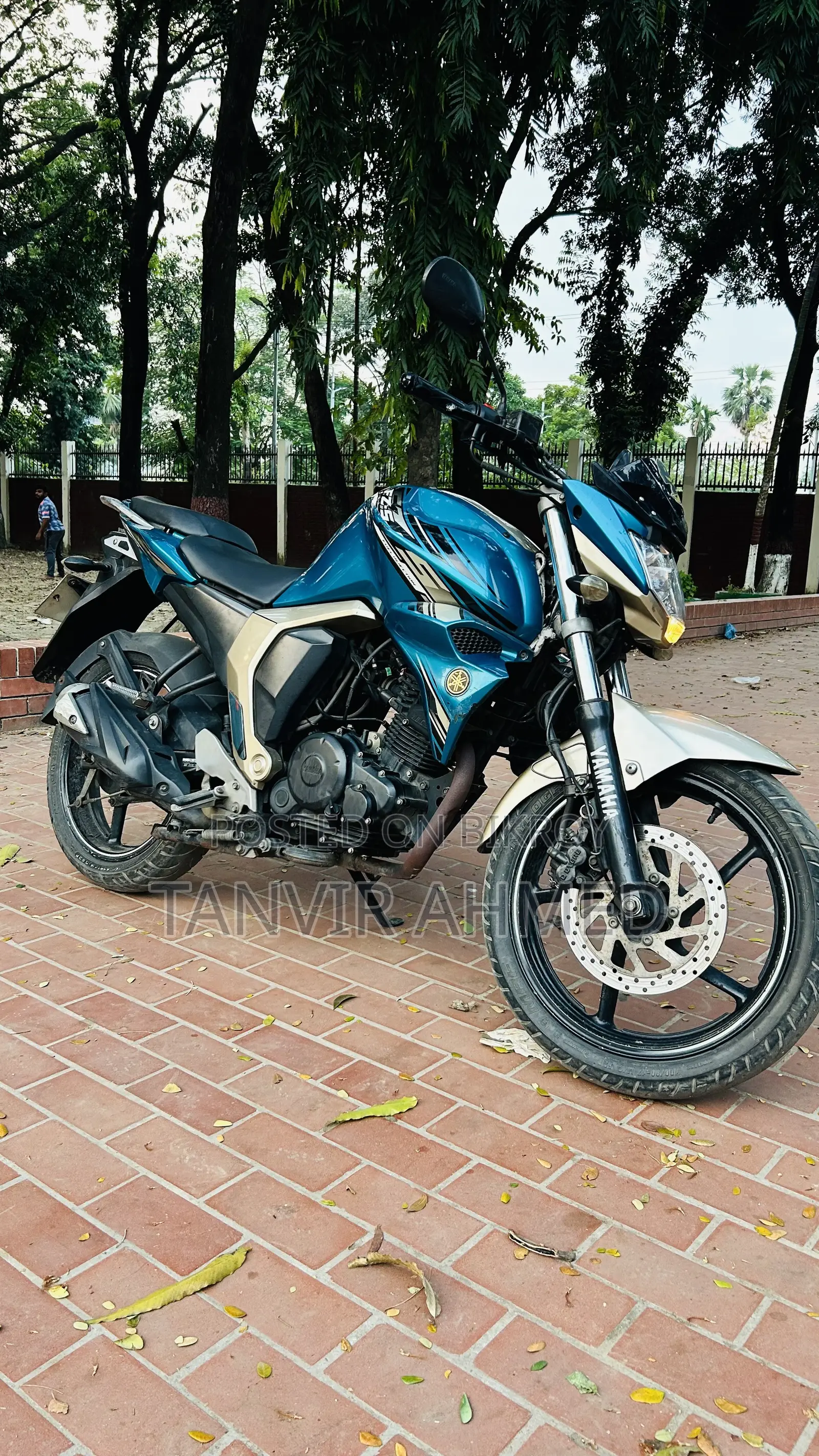 Yamaha FZS V2 2017