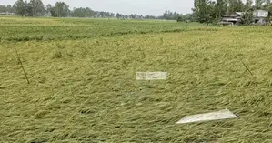 Photo - Land for Rent
