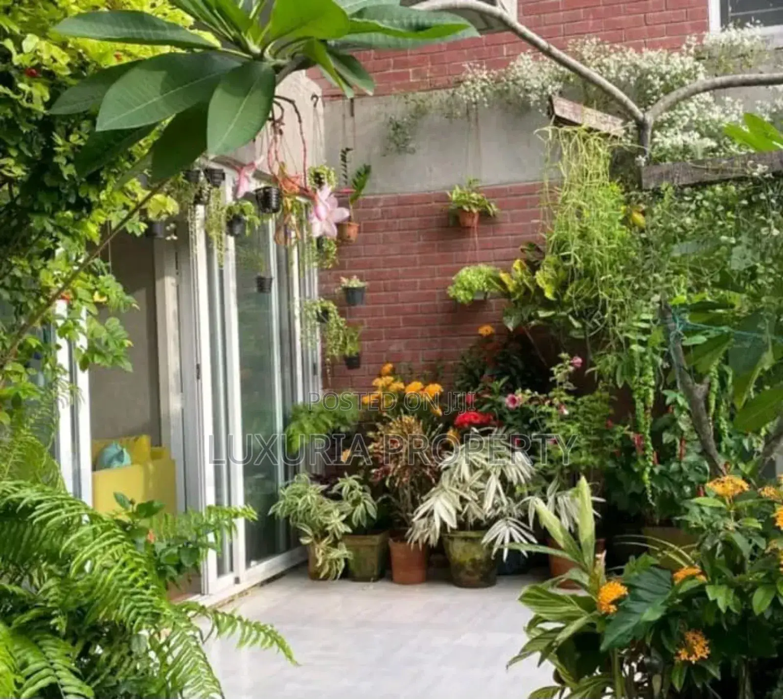 Furnished 3bdrm Apartment in Furnished Apartment for rent