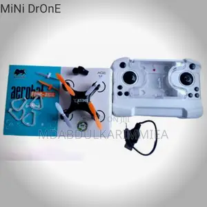 Best Mini Drone for You