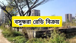 Photo - 3 Katha South Facing Plot Sale Bashundhara Residential