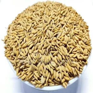 Chinigura Paddy Dhan for Bird -1 Kg