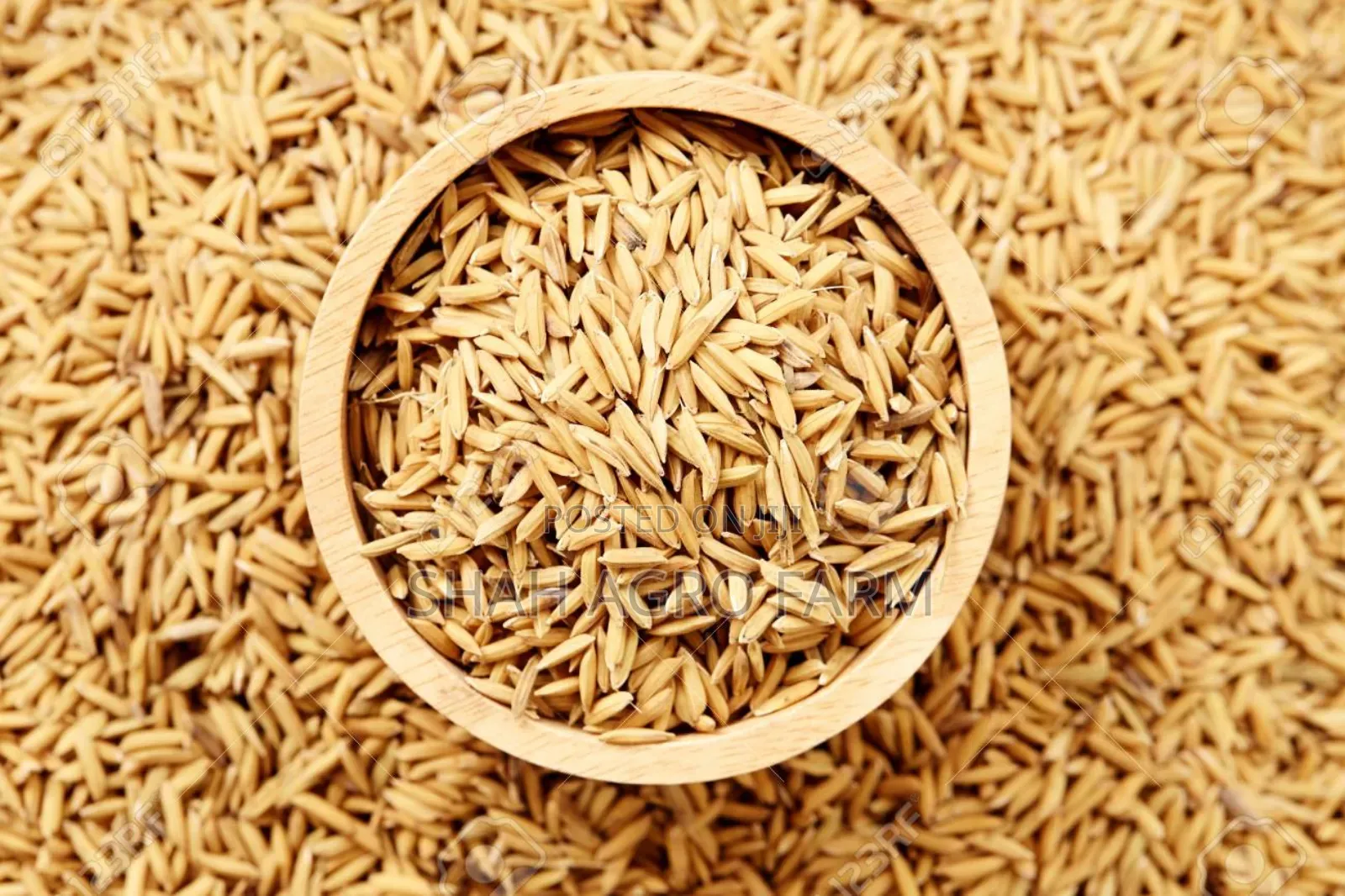Chinigura Paddy Dhan for Bird -1 Kg