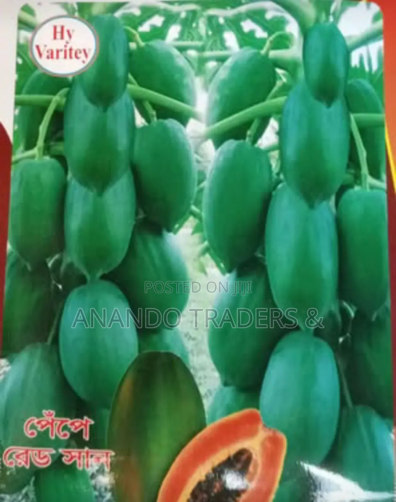 High Quality All Season Papaya Seeds, Pepe2 Pack