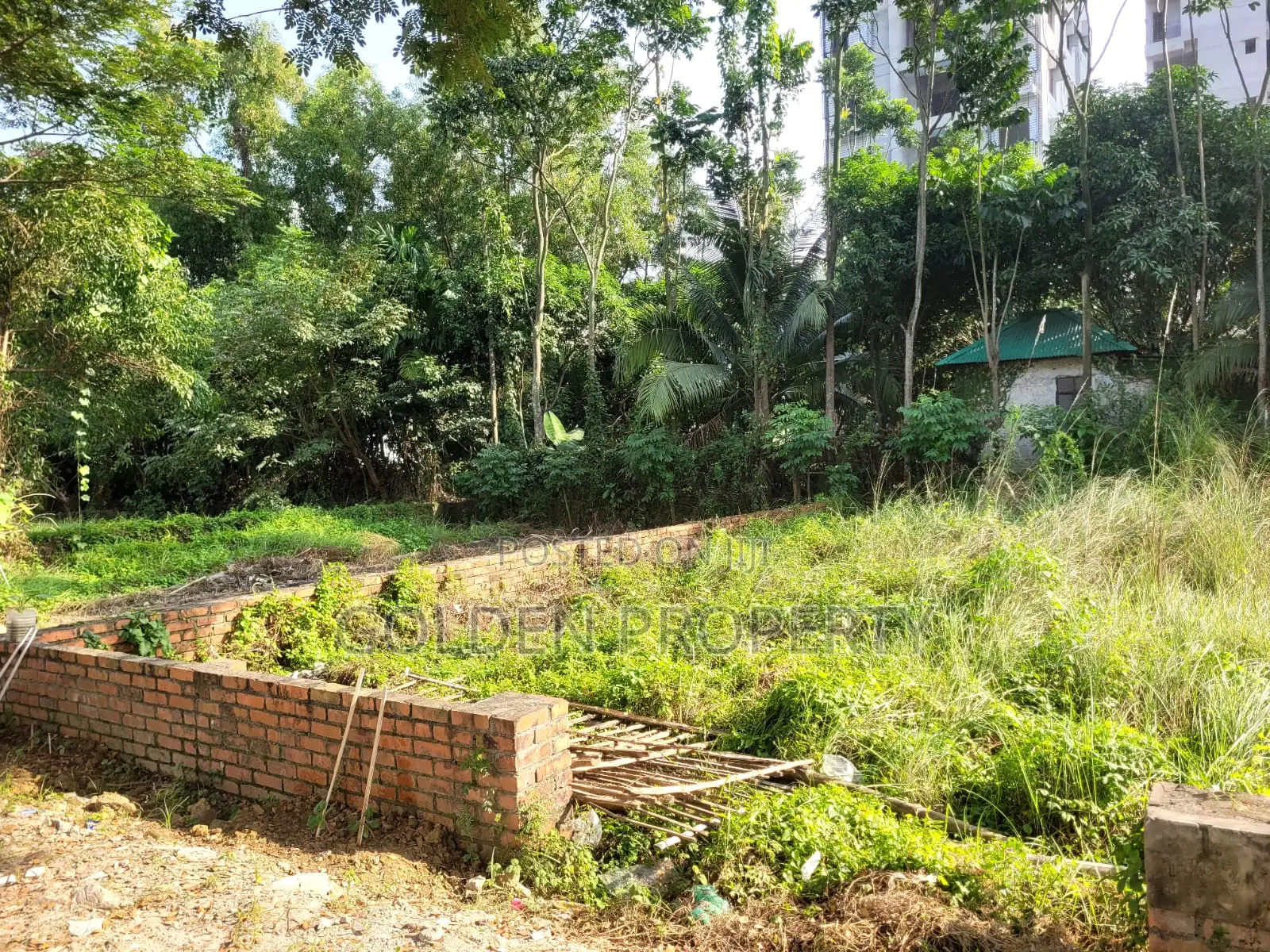 N Block 3 Katha, South Face