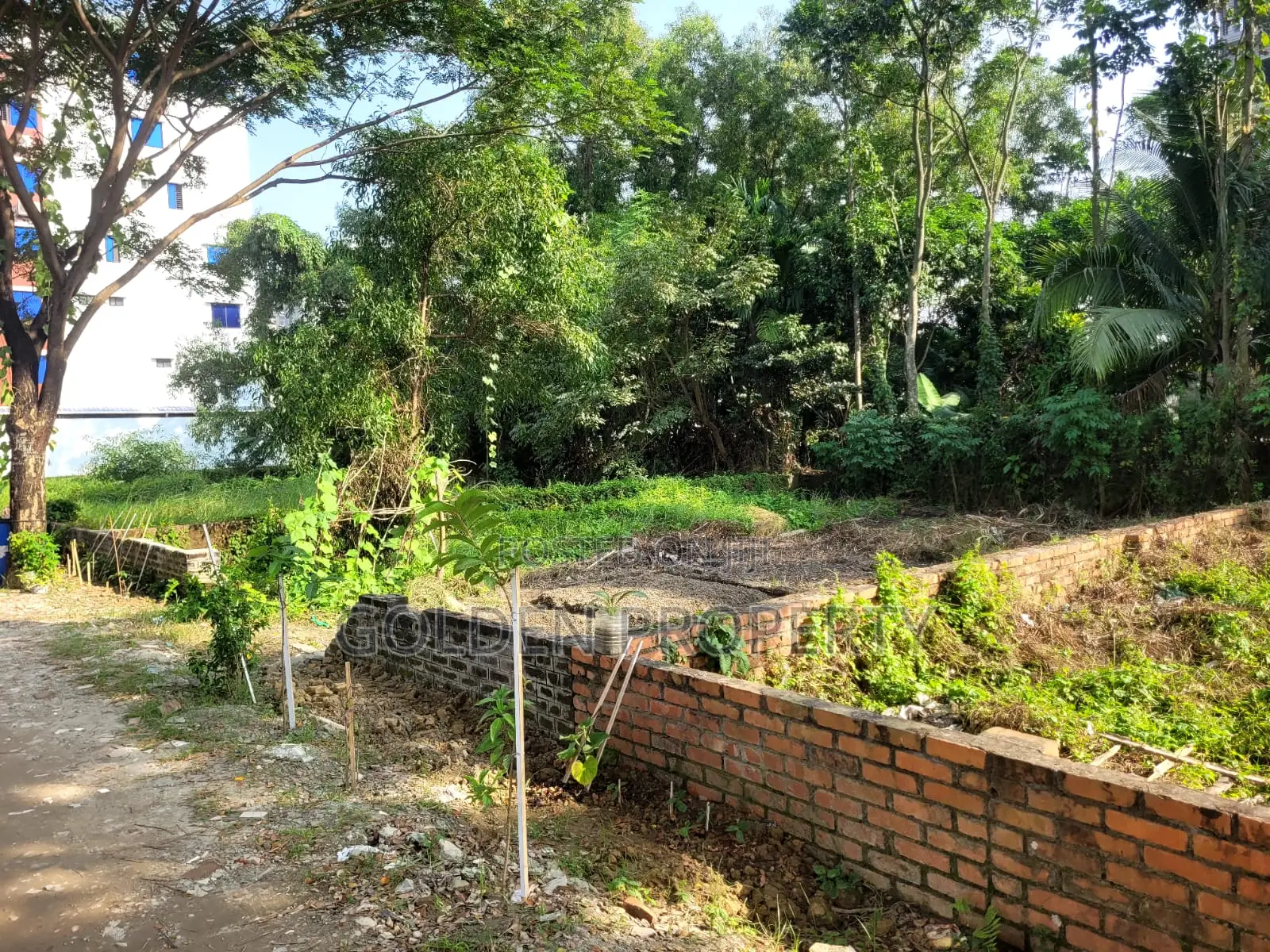 L Block 3 Katha South Facing Plot Sale Bashundhara