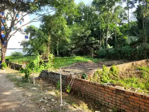 L Block 3 Katha South Facing Plot Sale Bashundhara