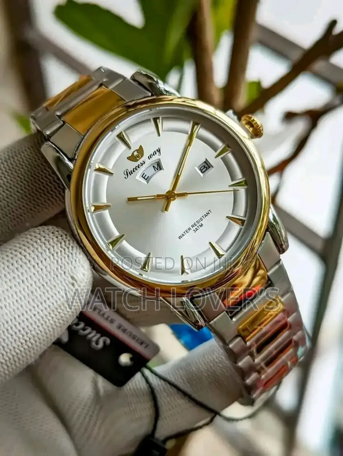 Success Way Day Daye