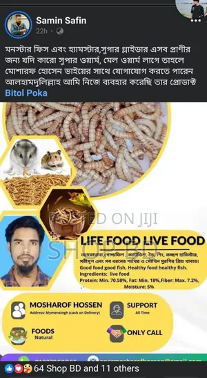 Photo - Live Food Life Food