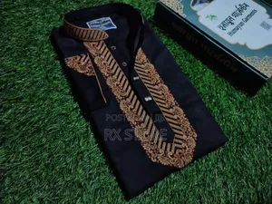 Embroidery Punjabi for Eid