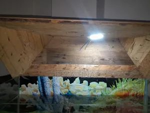 Photo - Aquarium for Home Decoration