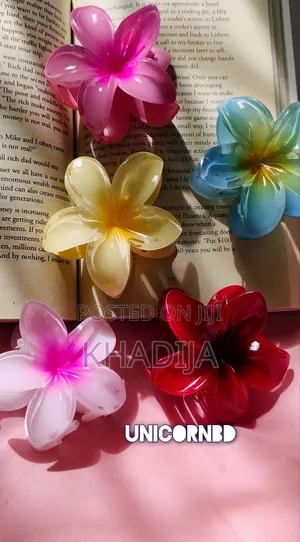 Pinterest Big Size Hairclip Set