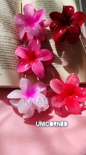 Pinterest Big Size Hairclip Set