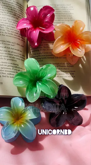 Pinterest Big Size Hairclip Set