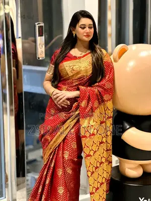 Premium Quality Katan Saree