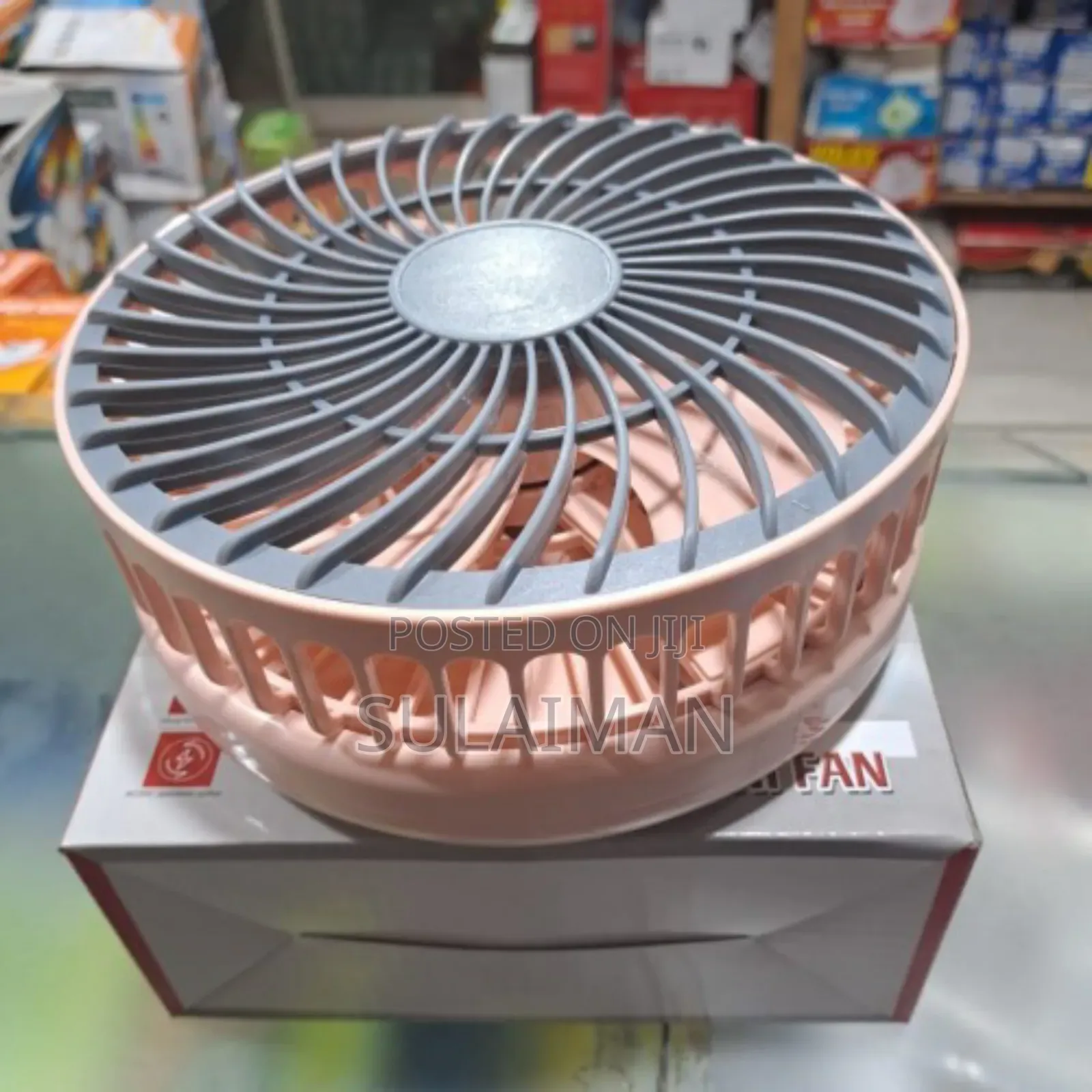 Professional Rechargeable Fan