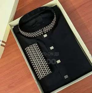 Premium Stylist Panjabi