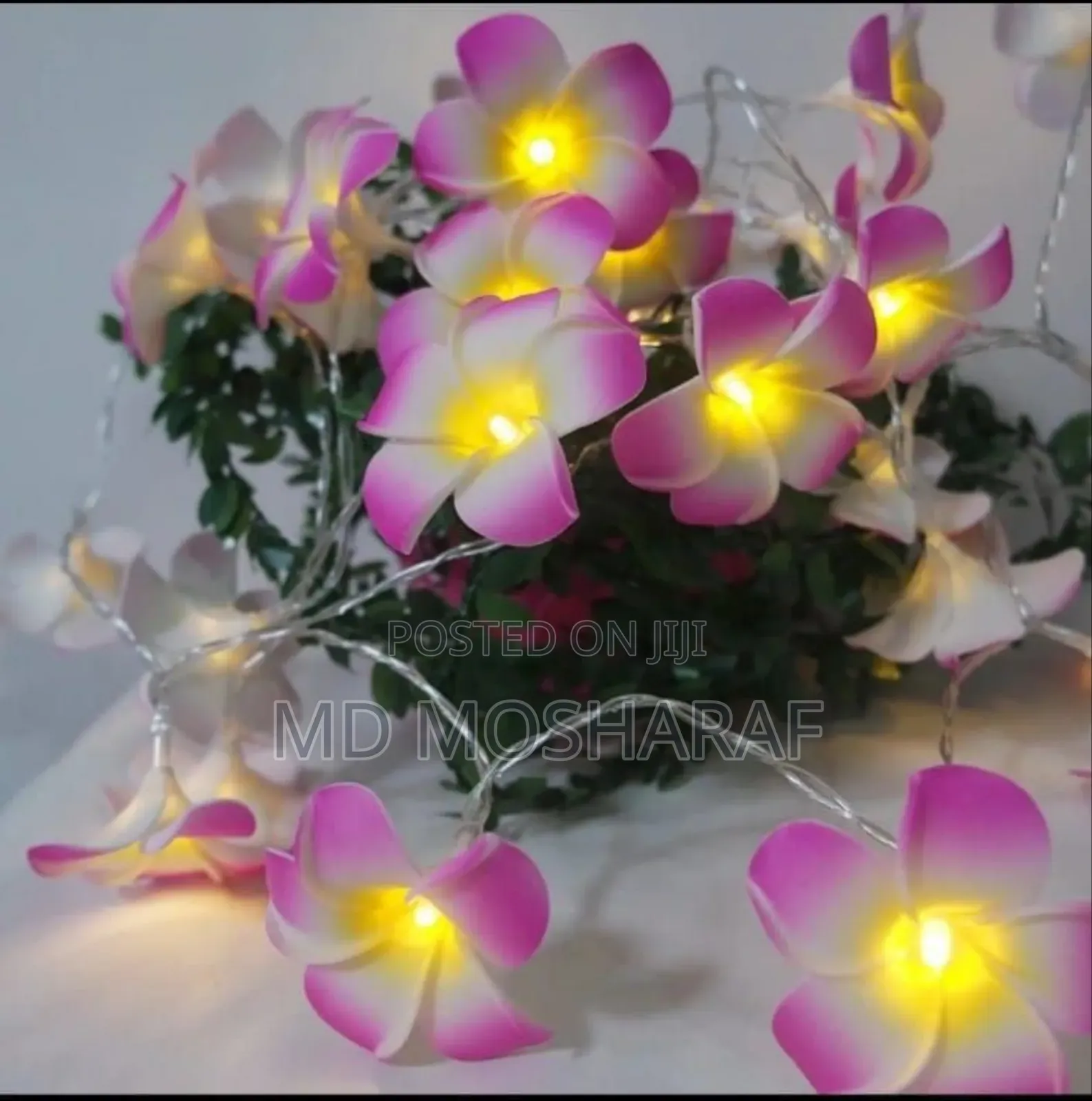Amecolor Changing Mushroom Dream Sensor Led Night