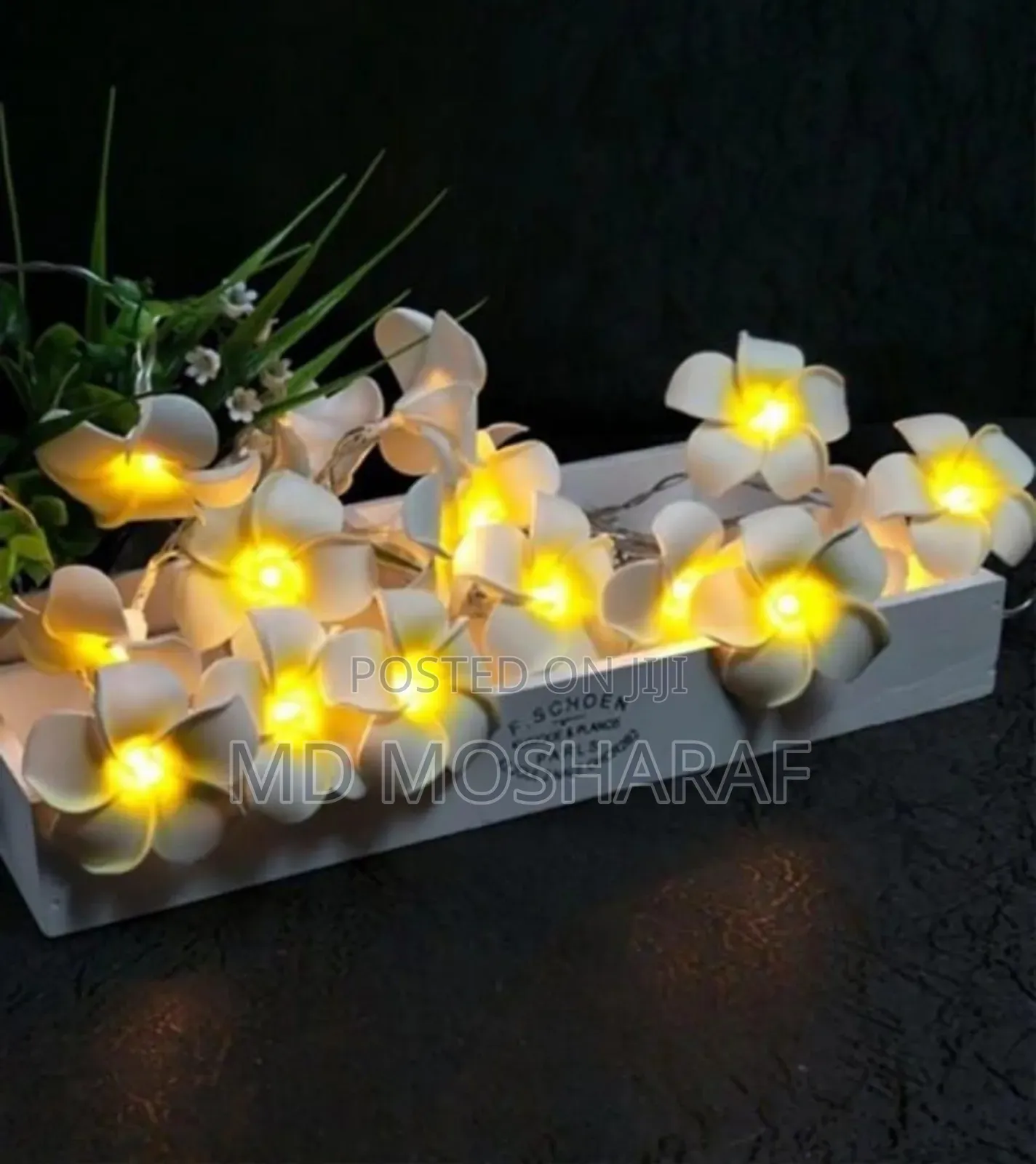 Amecolor Changing Mushroom Dream Sensor Led Night