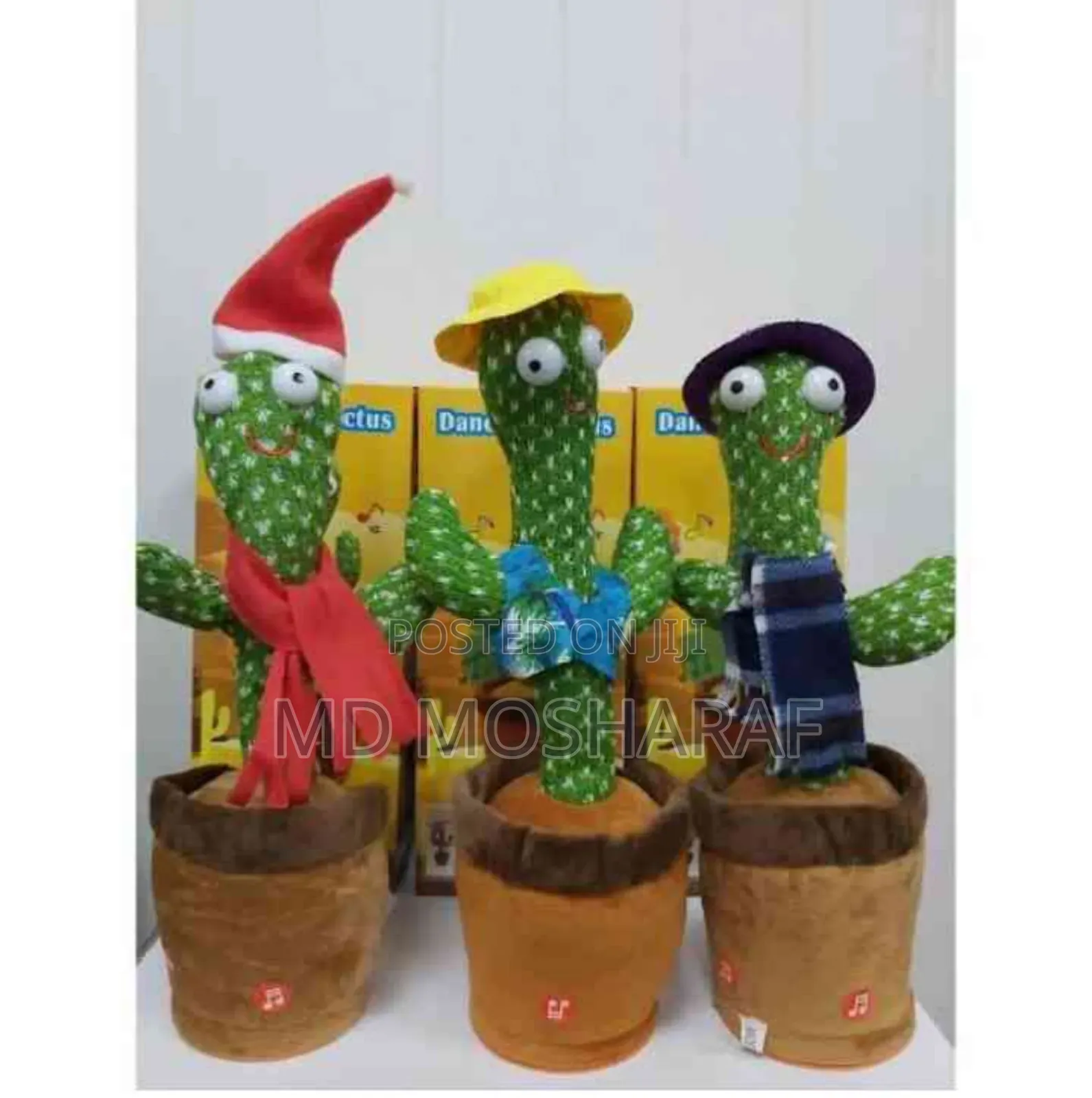 Dancing Talking Cactus Toy
। কথা রিপিট করে
!