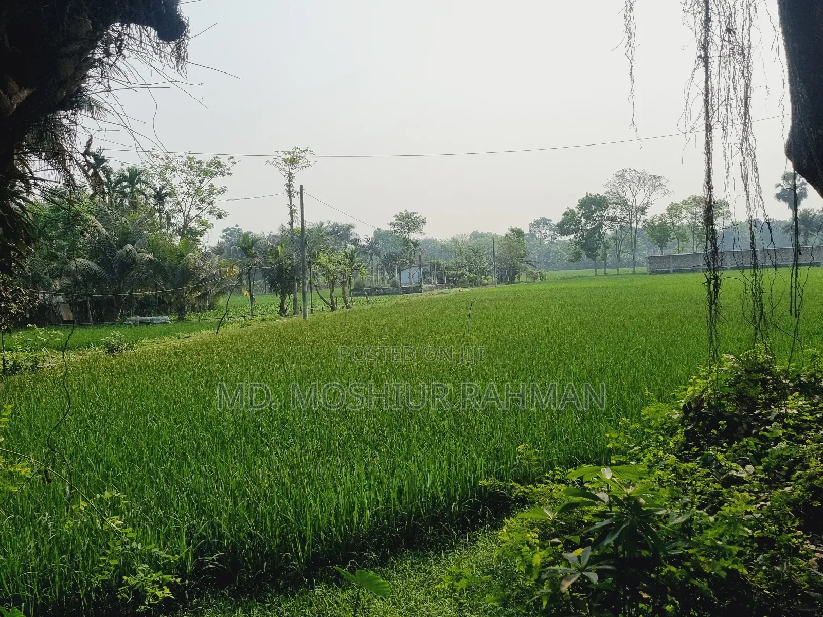 57.75 Shotok Industrial Land for Sale