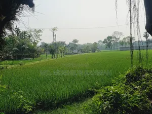 Photo - 57.75 Shotok Industrial Land for Sale