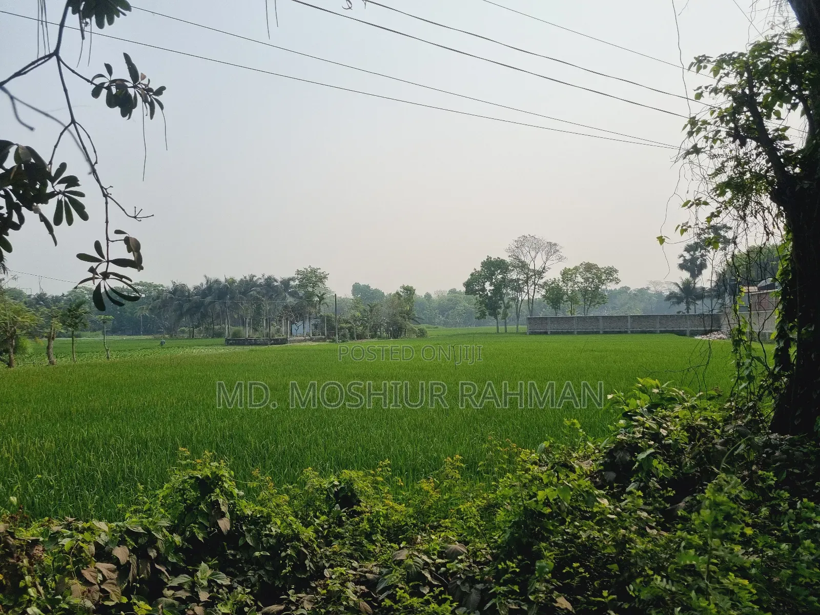 57.75 Shotok Industrial Land for Sale