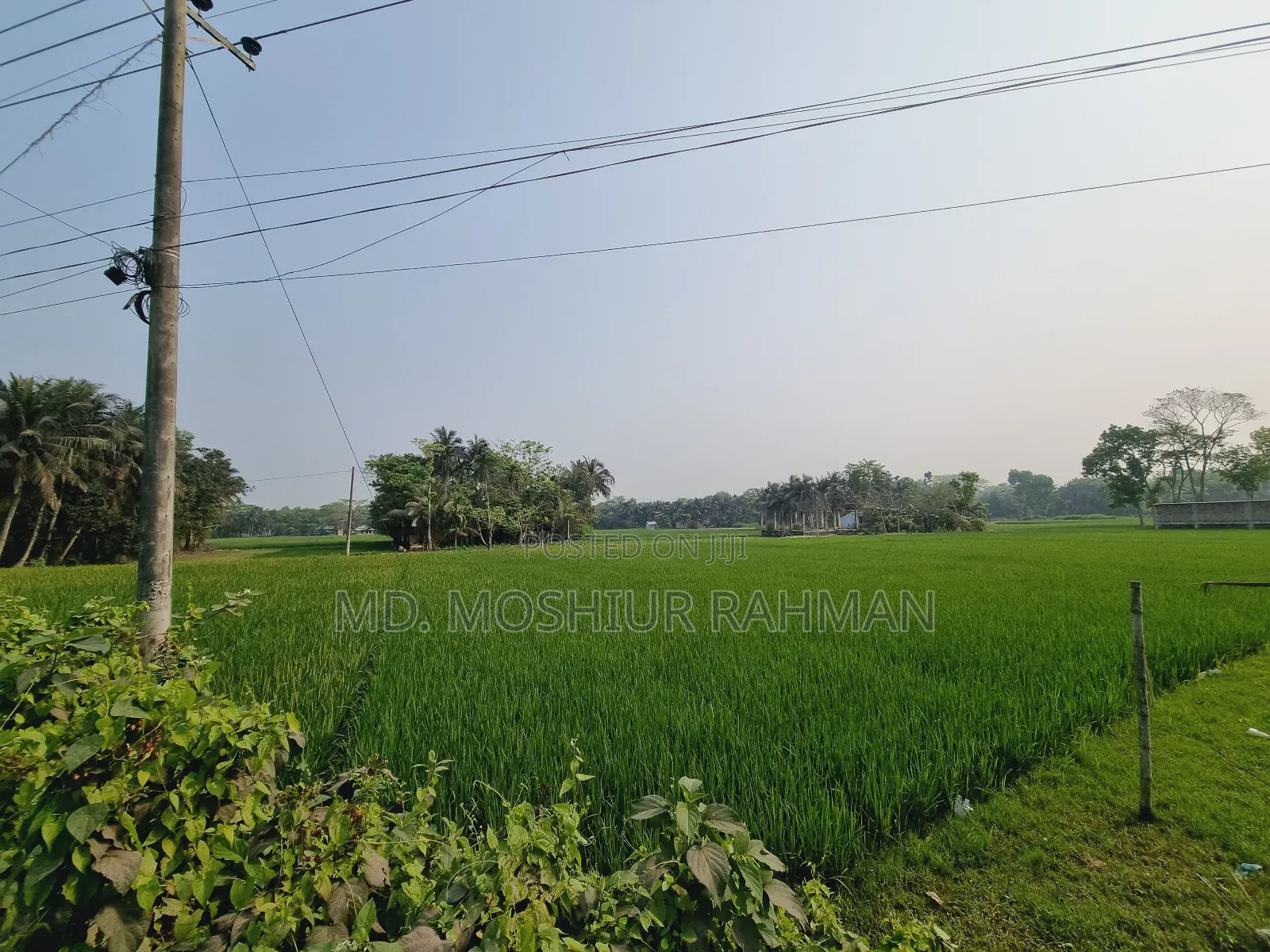 57.75 Decimal Industrial Land for Sale