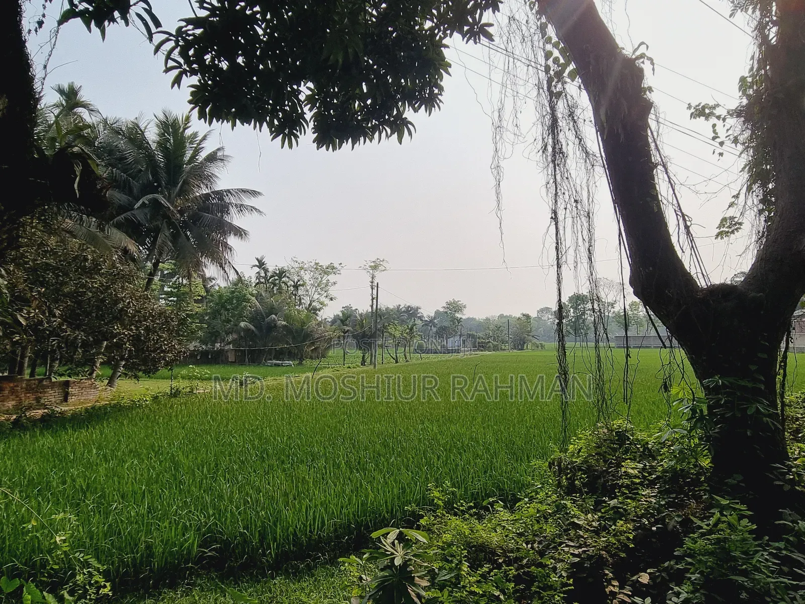 57.75 Decimal Industrial Land for Sale