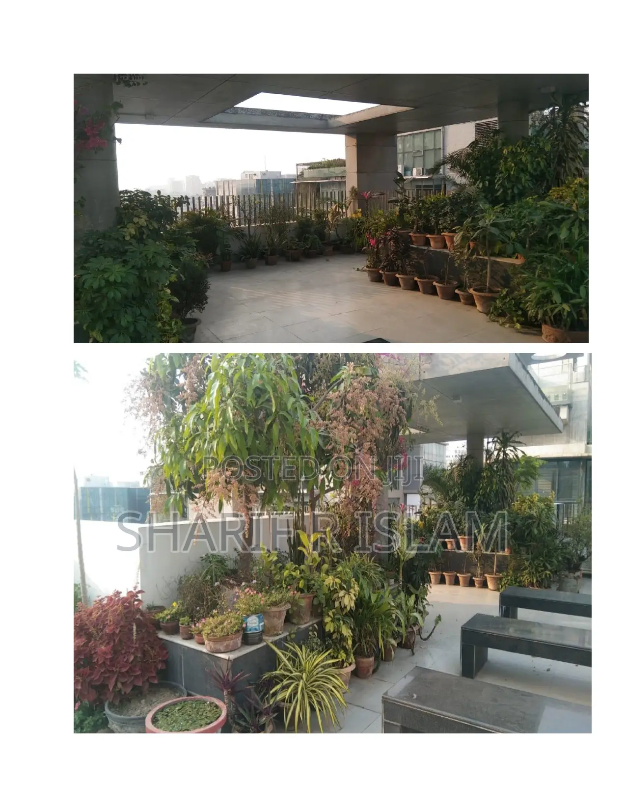 3bdrm Apartment in Cymbidium, Gulshan for sale