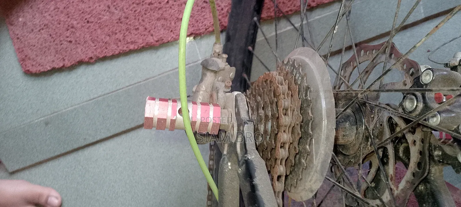 New Hero Eco 100 2024 Green